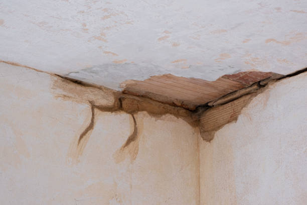 Residential Water Damage Restoration